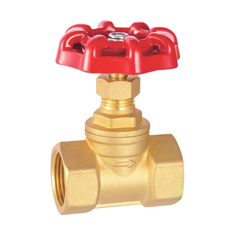 GH-3004 Brass Globe Valve en fonte